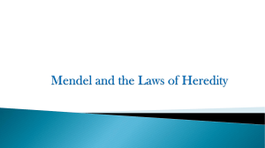 Mendel-and-the-Laws-of-Heredity
