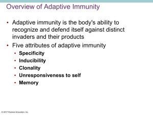 Lecture 6 - Adaptive Immunity (1)