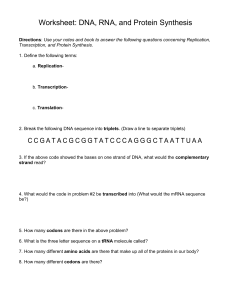 CW3 DNA, RNA & Protein synthesis