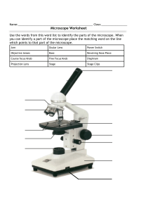 7th microscope diagram worksheet