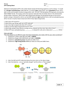 ATP Coloring Sheet (1)