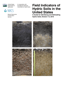 field soil for hydric soils USA