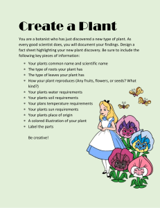 Create a Plant