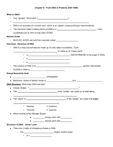 DNA Structure & Replication Worksheet