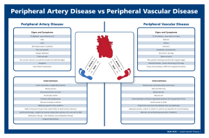 Artery vs Vascular Disease Answer key