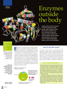 Enzymes Outside The Body Article