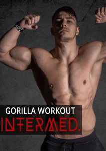 gorilla workout intermediate by dejan stipke (z-lib.org)