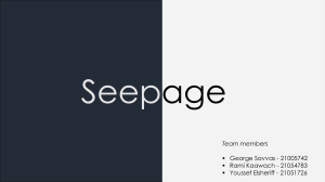 Seepage - Labreport