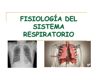 4- fisiología -Aparato respiratorio