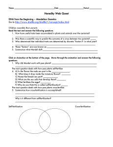 Heredity Web Quest: Mendelian Genetics Worksheet