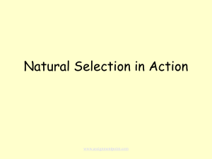 Natural-Selection-in-Action