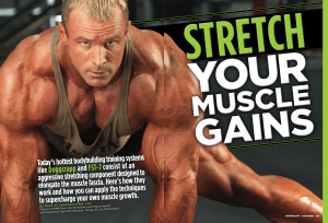 Stretch for Muscle Gains