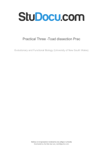 practical-three-toad-dissection-prac