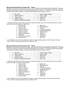 Binomial Nomenclature Worksheet