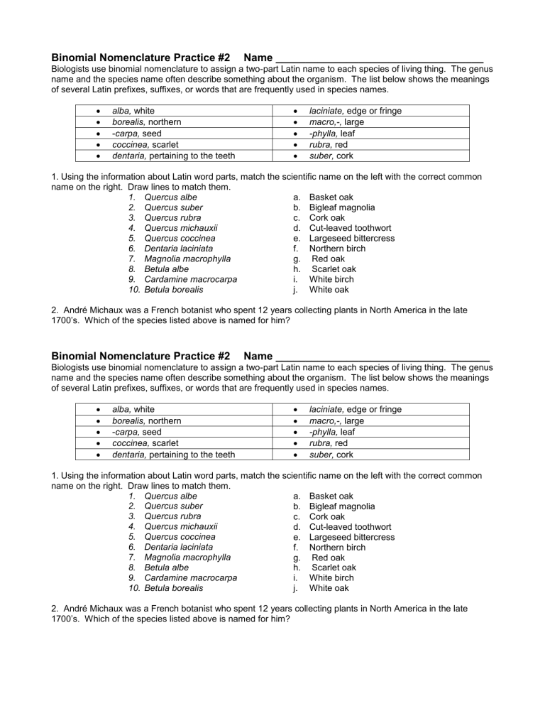Binomial Nomenclature Worksheet Martin Printable Calendars