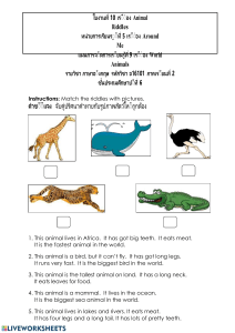 ใบงานภาษาอังกฤษ ป.6: ปริศนาสัตว์และข้อมูลหมีขั้วโลก