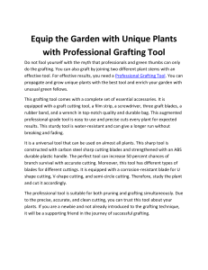 Equip the Garden with Unique Plants with Professional Grafting Tool