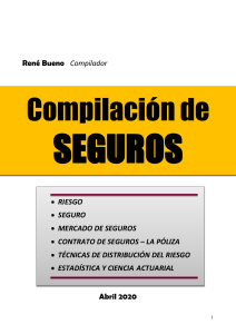 NUEVO LIBRO SEGUROS actualizado 16-04-2020 pdf