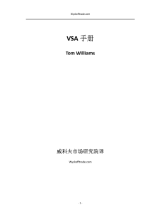 VSA手册