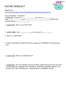 Biochemistry ENZYME WEBQUEST