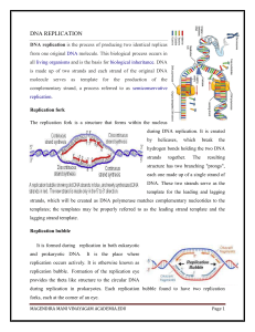 DNA REPLICATION Enzymes and protein (1)