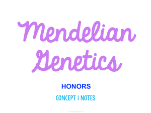 Honors Concept 1 Notes - Mendelian Genetics