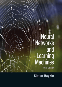 Neural Network and learning machines