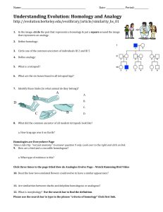 Evolution Homology Analogy - StudentWebQuest (1)