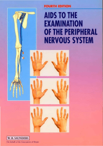 Peripheral Nervous Examination