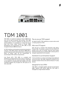 TDM 1001 Datasheet