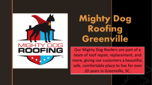 Migty Dog Roofing Greenville