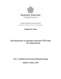 Gender-Specific PCR Test for Salmonids Thesis