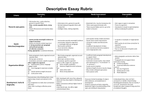 Rubric for the Essay