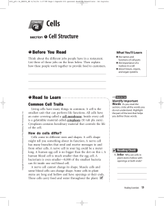 Interactive Reading - Cells