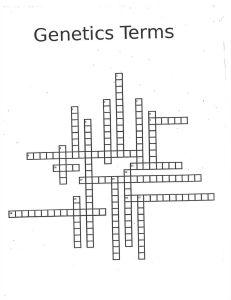 Genetic Terms Crossword Review