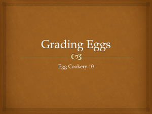 GRADING EGGS