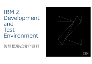 zSW ZDT説明資料 v1.0