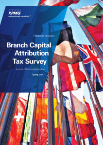2010-branch-capital-attribution-tax-survey(1)