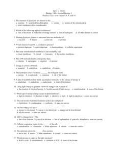 Biology 1406 Practice test 3