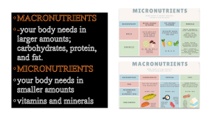 Macro and micronutrients