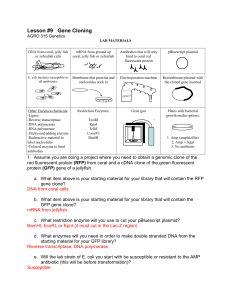 Key problem set 9 fa 2016