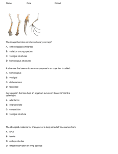 Biology Evo Quiz1