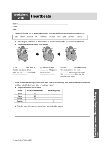 Stage 8 Chapter 2 worksheets
