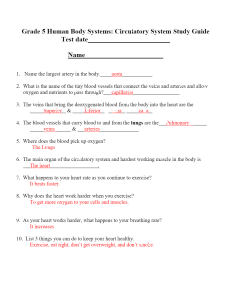 Grade 5 Human Body Systems  Circulatory System Study Guide