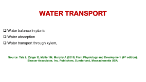 WATER TRANSPORT  CLASS