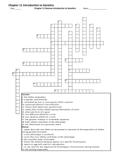 chapter 11 crossword puzzle