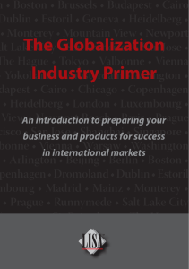 LISA The Globalization Industry Primer 2007