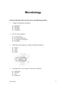 07 Microbiologyquiz