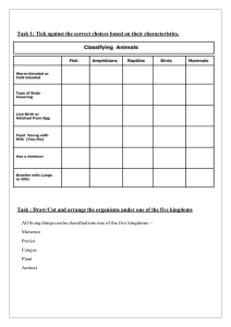 Classification of animals  task sheet march 10th