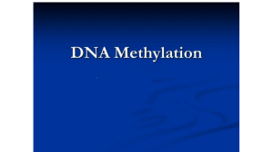 dna methylase